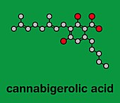 Cannabigerolic acid cannabinoid molecule, illustration