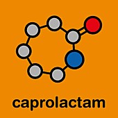 Caprolactam molecule, illustration