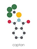 Captan fungicide molecule, illustration