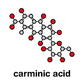 Carminic acid pigment molecule, illustration