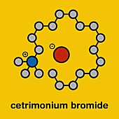 Cetrimonium bromide antiseptic molecule, illustration