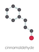 Cinnamaldehyde cinnamon flavour molecule, illustration