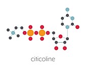 Citicoline molecule, illustration