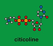 Citicoline molecule, illustration