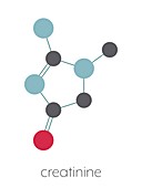 Creatinine molecule, illustration
