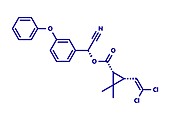 Cypermethrin insecticide molecule, illustration