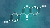 Daidzein isoflavone molecule, illustration