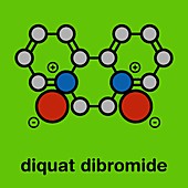 Diquat dibromide contact herbicide molecule, illustration
