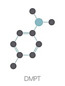 DMPT molecule, illustration