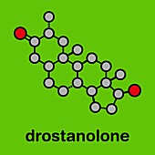 Drostanolone anabolic steroid molecule, illustration
