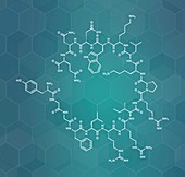 Dynorphin a endogenous opioid peptide molecule, illustration