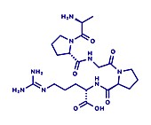 Enterostatin signalling peptide molecule, illustration