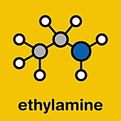 Ethylamine organic base molecule, illustration