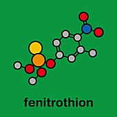 Fenitrothion phosphorothioate insecticide, illustration