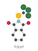 Folpet fungicide molecule, illustration