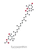 Fucoxanthin brown algae pigment molecule, illustration