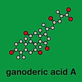 Ganoderic acid A molecule, illustration