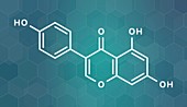 Genistein isoflavone molecule, illustration