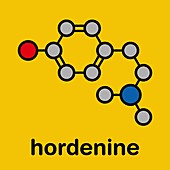 Hordenine stimulant molecule, illustration