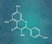 Kaempferol antioxidant molecule, illustration