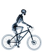 Skeleton riding mountain bike, X-ray