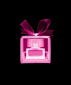 Gift wrapped box containing perfume, X-ray