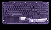 Computer keyboard, X-ray