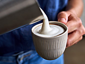 Foamed plant milk (milk substitute)