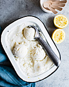 Scoops of lemon gelato in a baking dish.