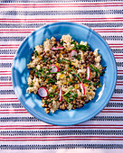 Quinoa salad with lentils and radishes