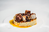 Appetizing gourmet dish with chopped grilled octopus served with pate and sauce on white plate against white background