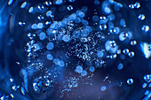 From above transparent bubbles emerging on surface of clean blue water sparkling in glass