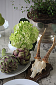 Still life with artichokes, hydrangea flowers, and antlers