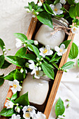 Jars of honey with sprigs of mock orange