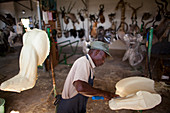 Taxidermy workshop