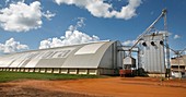 Arable farm, Amazon