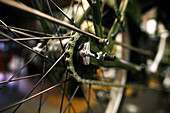 Rear wheel of a bike