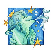 Aquarius zodiac sign, illustration
