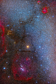 Betelgeuse and nebulae