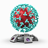 Coronavirus research, conceptual illustration
