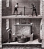 Cider press, 19th century illustration