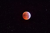 Total lunar eclipse at totality, January 2019