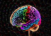 Brain mapping, composite image