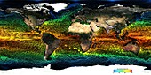 Global sea surface temperatures