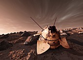 Mars 3 spacecraft on Mars, illustration