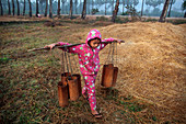 Palm tree farming, Myanmar