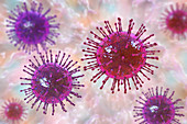 Coronavirus particles, illustration