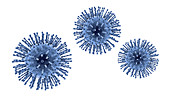 Coronavirus particles, illustration