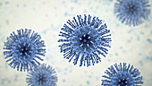 Coronavirus particles, illustration