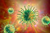 Coronavirus particles, illustration